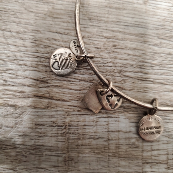 Alex and Ani Live Music Charm Bracelet - Picture 4 of 5
